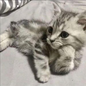 Meet your Posher, Katherine